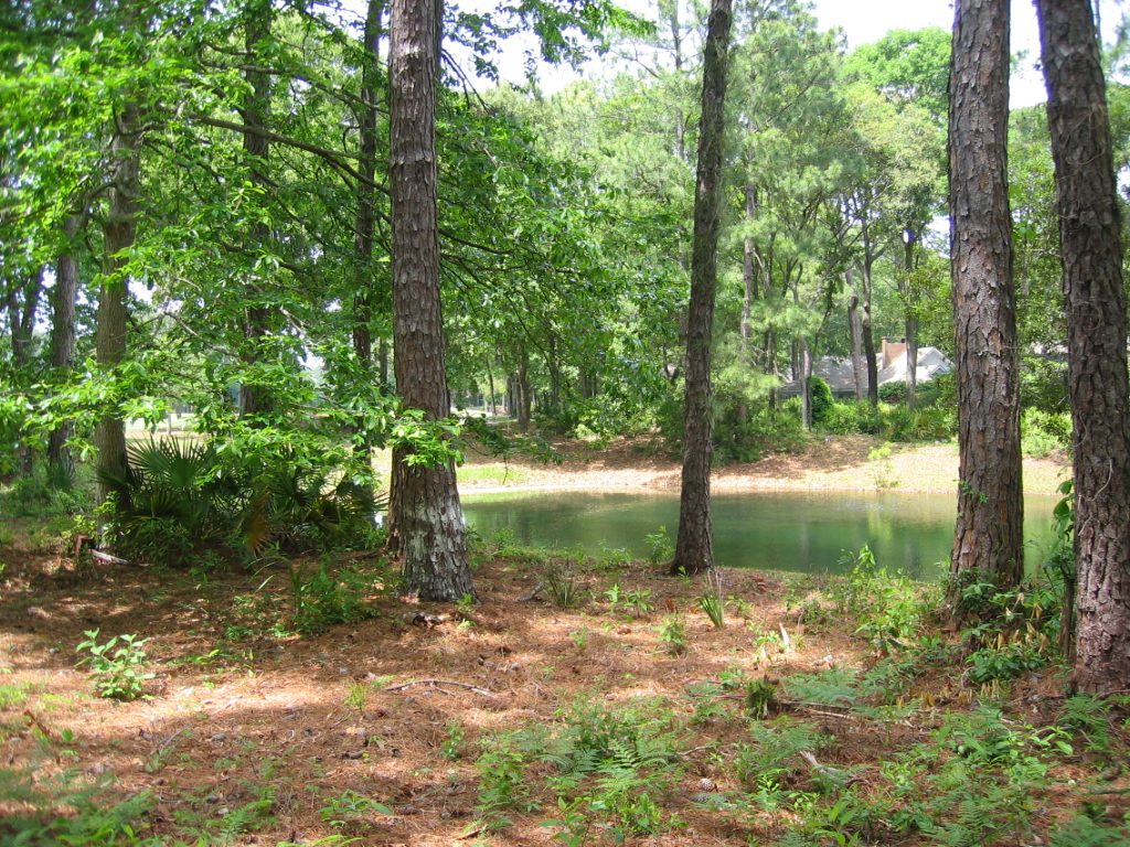 View of the lagoon